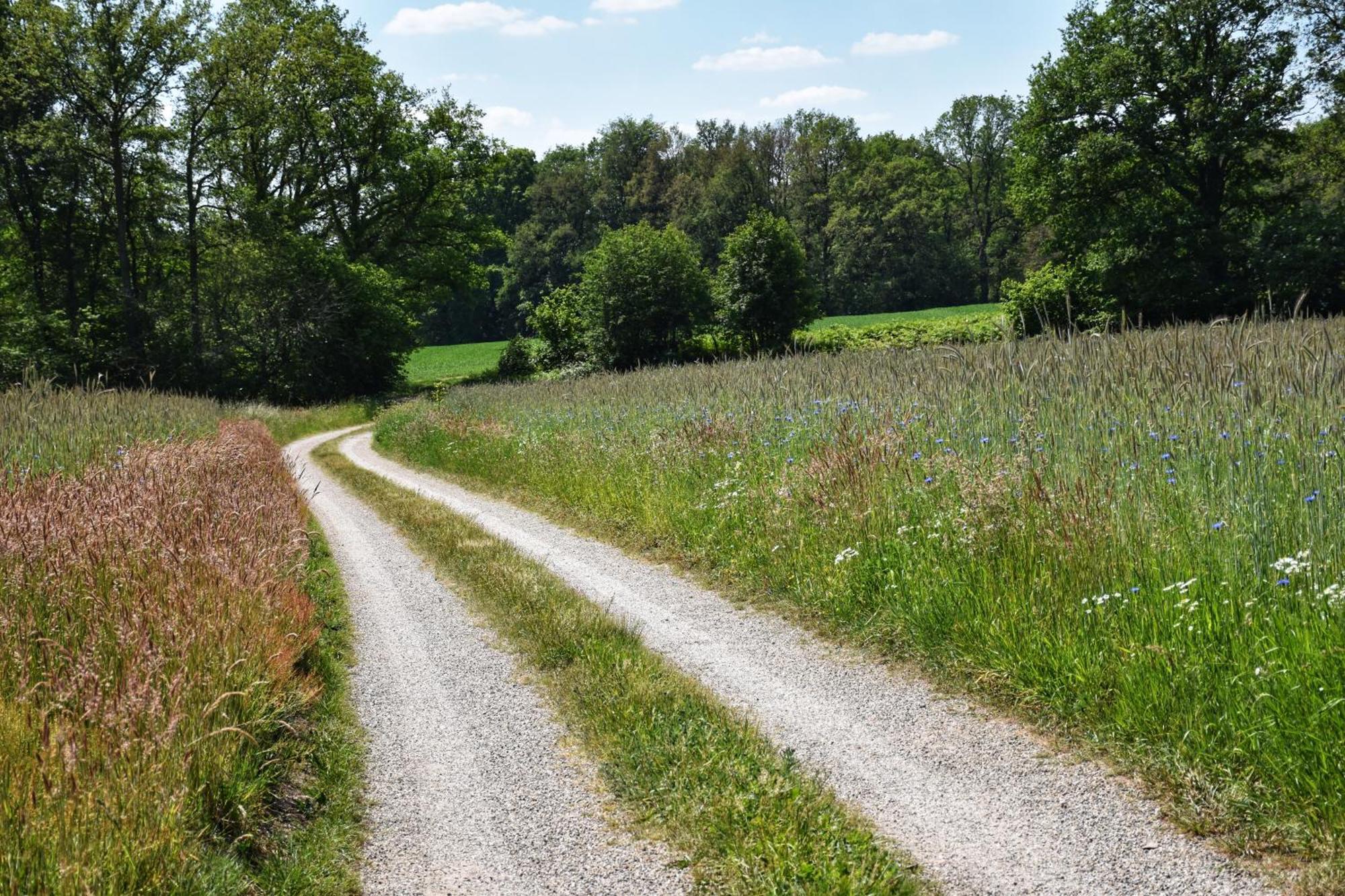 'T Buitenverblijf Erve Punte Losser Exterior foto